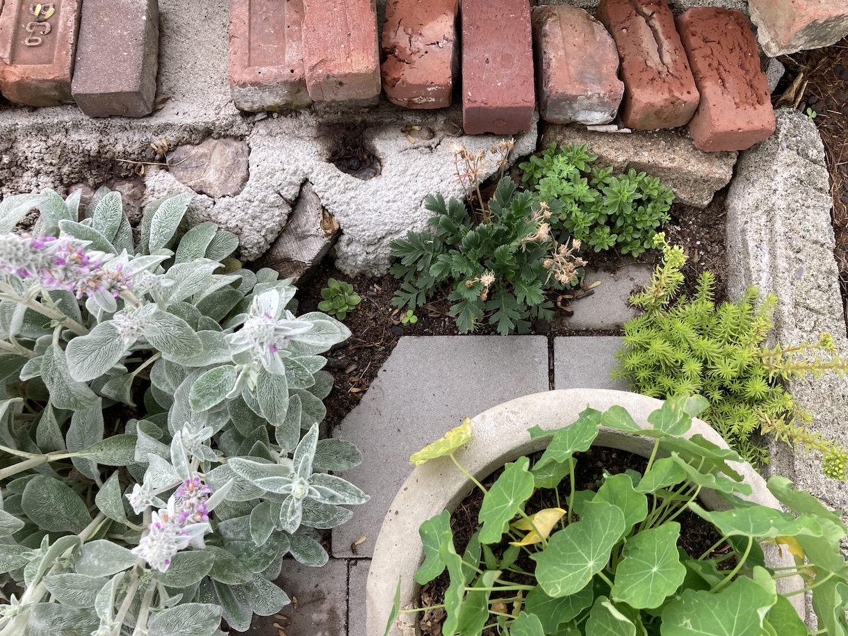 Flower pots and bricks.