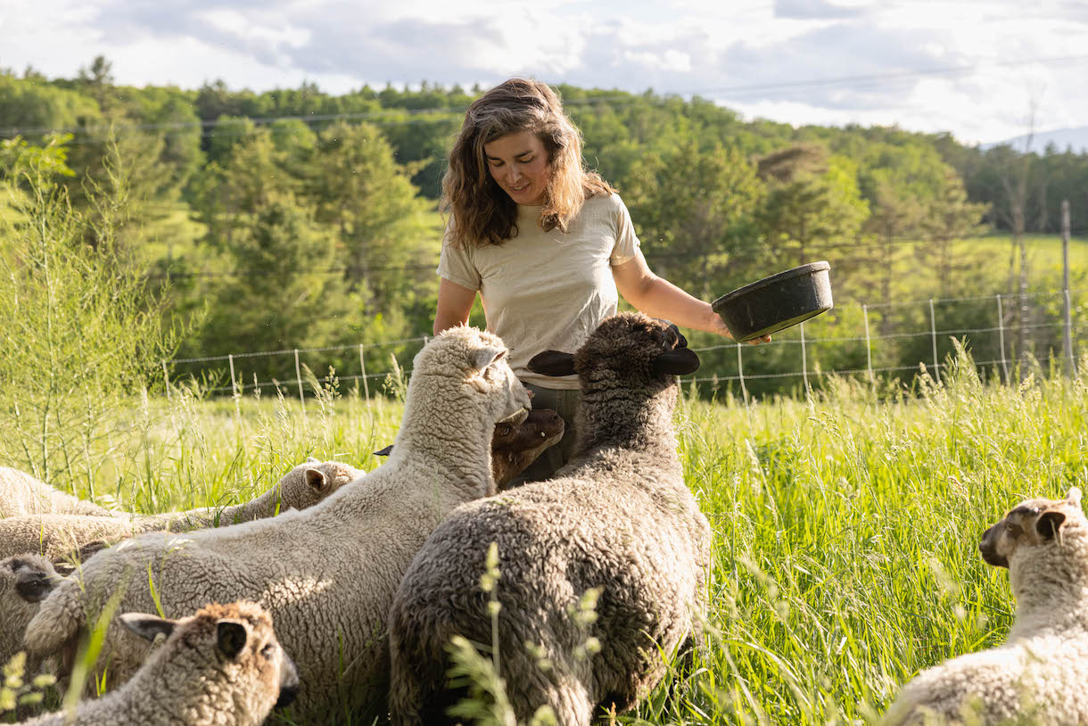 Kirsten feeding the sheep.