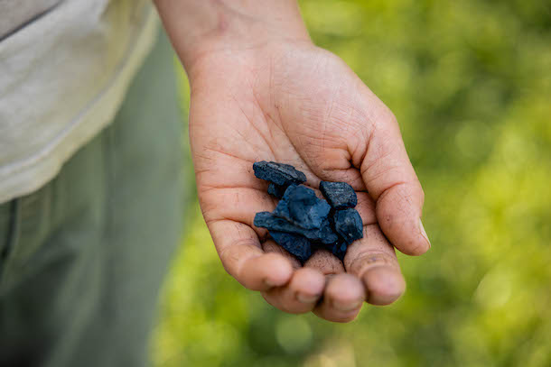 Hands holding material used to make dye.